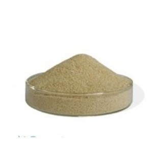 海藻酸鈉 食品級增稠劑的優(yōu)質之選——鄭州眾信化工產品解析